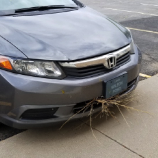Tumbleweed Car...acquired as soon as we passed into Colorado...Big Winds!
